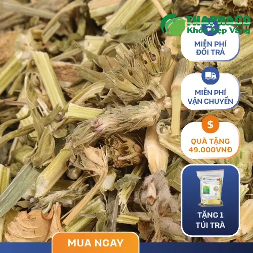 Các quy cách đóng gói trà ích mẫu sấy khô THAPHACO đa dạng: túi 1kg, 500g, 100g