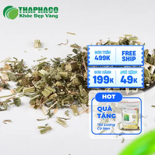Sản phẩm ích mẫu sấy khô của Thảo Dược THAPHACO