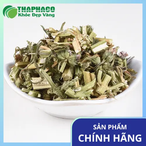 Kho chứa và quy trình đóng gói trà ích mẫu sấy khô tại THAPHACO