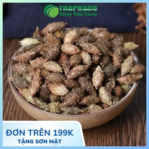 Ké đầu ngựa khô chất lượng cao từ Thaphaco
