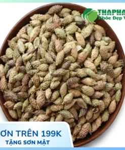 1kg Ké Đầu Ngựa Sấy Khô Giá Bao Nhiêu? Bảng Giá Mới Nhất 2024
