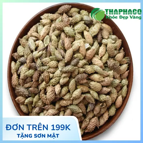 Ké đầu ngựa sấy khô chất lượng cao từ Thapaco