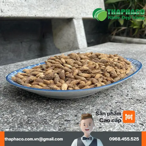 Ké đầu ngựa tươi nguyên chất trước khi sấy khô tại Thaphaco
