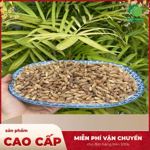 Cách sắc ké đầu ngựa khô uống trị viêm xoang