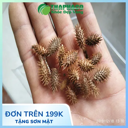 Hình ảnh ké đầu ngựa sấy khô Thaphaco đã được đóng gói