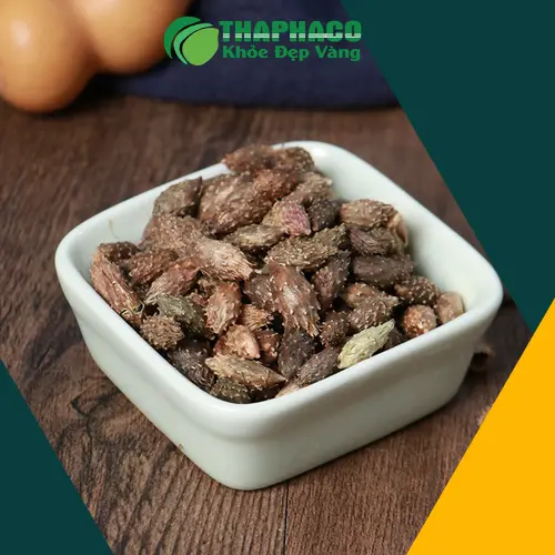 Ké đầu ngựa nguyên liệu cho nhiều bài thuốc dân gian