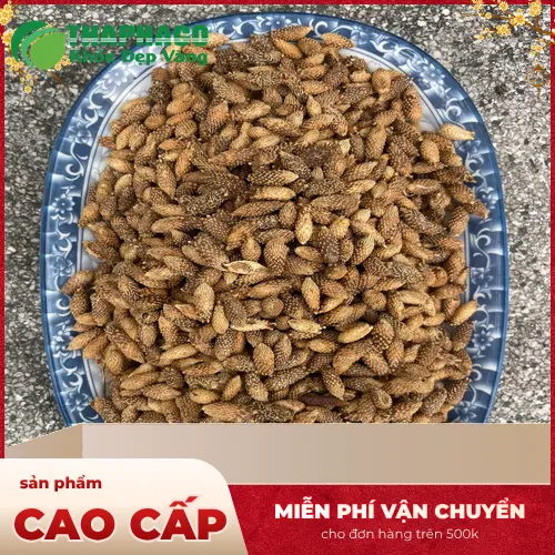 Ké đầu ngựa sấy khô Thapaco - Đảm bảo uy tín