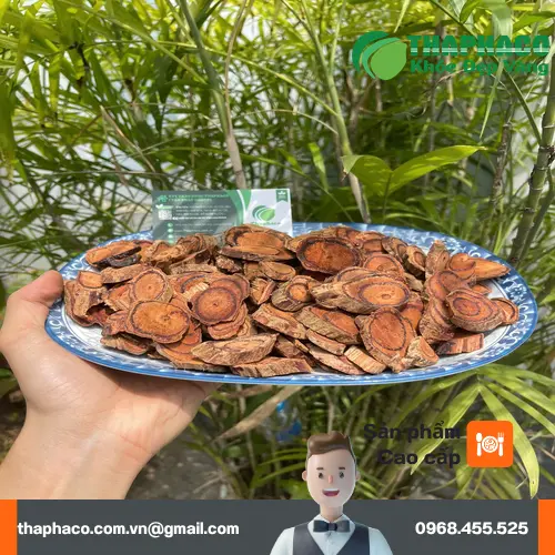 Kê Huyết Đằng Sấy Khô Đóng Gói Tại Thaphaco