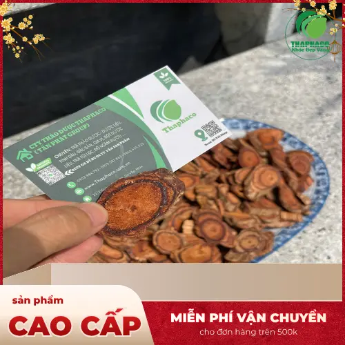 Kê Huyết Đằng Sấy Khô Đa Dạng Kích Cỡ