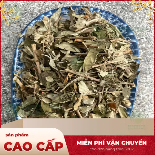 Khổ sâm khô tại THAPHACO chất lượng cao