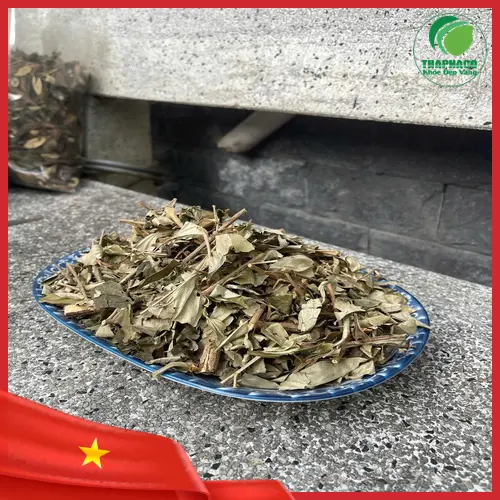 Khổ Sâm tự nhiên chất lượng cao từ Thảo Dược THAPHACO