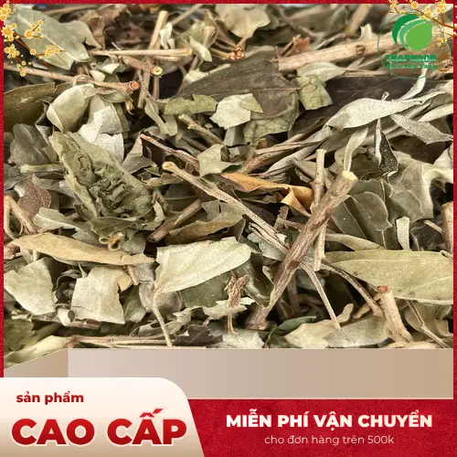 Khổ sâm khô THAPHACO chất lượng cao