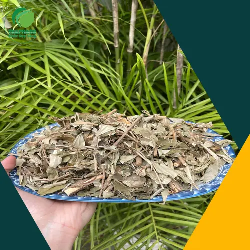 Rễ khổ sâm tự nhiên được tuyển chọn kỹ lưỡng
