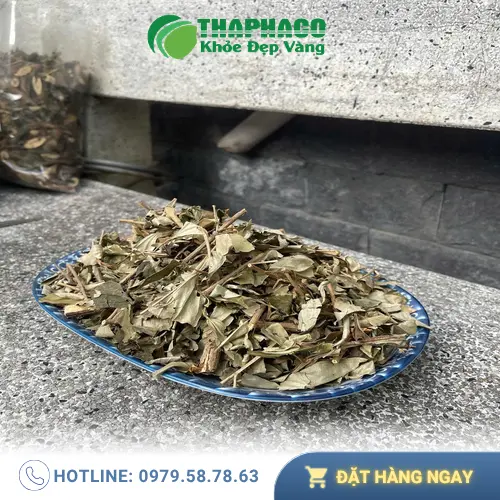 Khổ sâm chất lượng từ THAPHACO, đảm bảo nguồn gốc