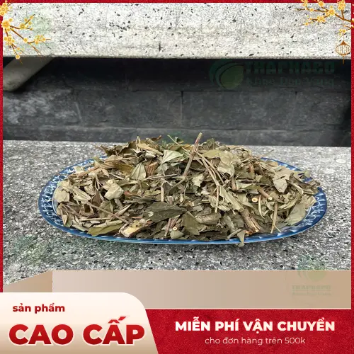 Các gói Khổ Sâm của THAPHACO đa dạng trọng lượng 100g, 500g, 1kg