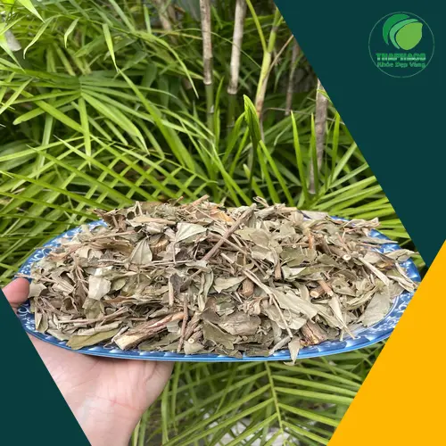 Khổ sâm đóng gói túi 1kg của THAPHACO