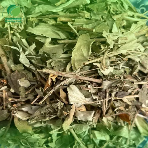 Quy trình sử dụng Khổ Sâm khô THAPHACO an toàn và hiệu quả