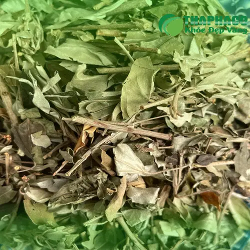 Khổ sâm THAPHACO sẵn sàng giao hàng