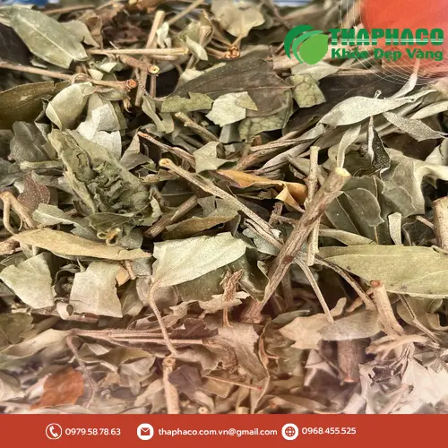 Khổ Sâm THAPHACO - Thương hiệu uy tín chất lượng tại TP.HCM