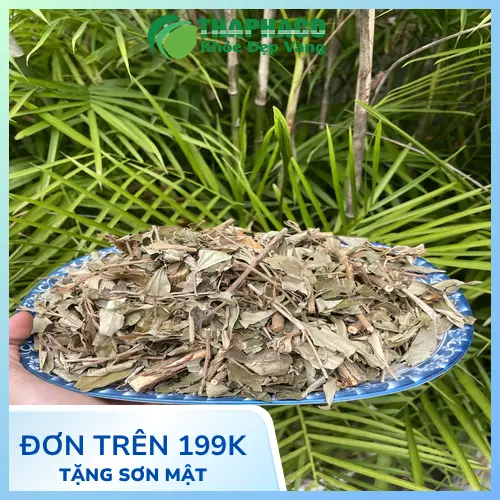 Mua khổ sâm chất lượng tại THAPHACO TP.HCM