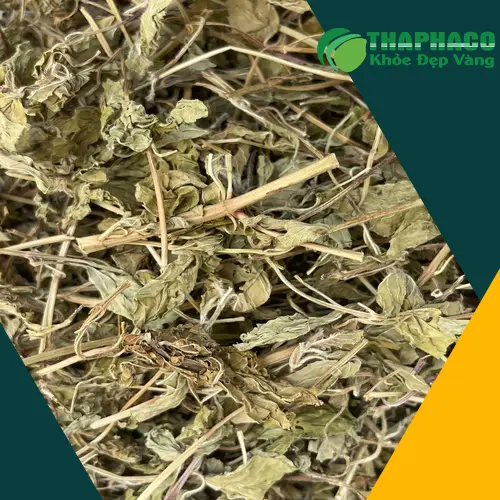 Lá bạc hà tươi xanh mướt, biểu tượng của sự thanh mát và sức khỏe