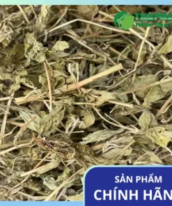 Cửa hàng bán sỉ lá bạc hà khô tại TP.HCM - THAPHACO