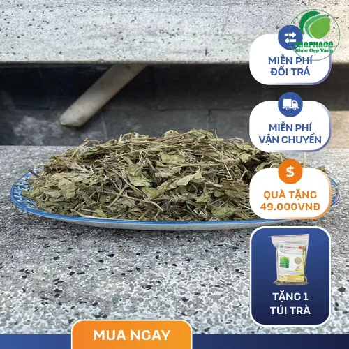 Lá bạc hà khô THAPHACO chất lượng cao