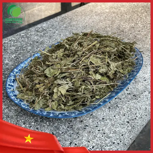 Lá bạc hà tươi nguyên chất từ Thảo Dược THAPHACO giúp xông hơi trị cảm cúm