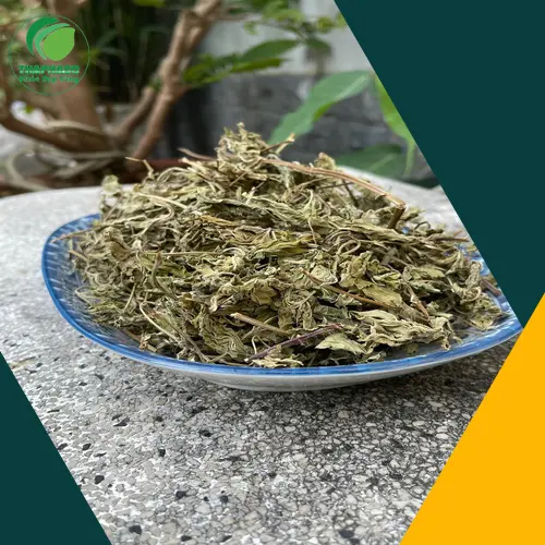 Lá bạc hà khô chất lượng cao của THAPHACO