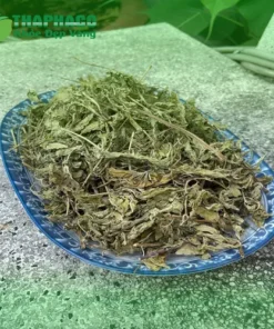 Địa chỉ bán lá bạc hà khô tại TP.HCM Uy tín, Chất lượng