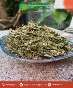 Mua Lá Bạc Hà Khô Chất Lượng Cao ở Đâu TPHCM? Chuyên Gia Tư Vấn