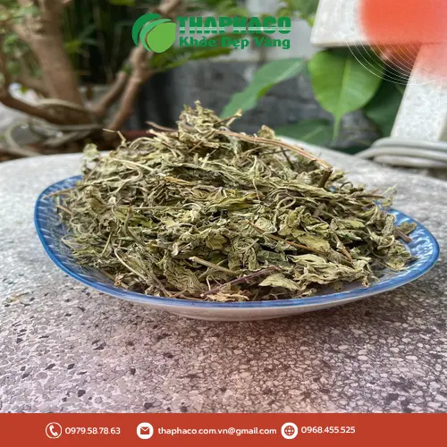 Lá bạc hà khô tự nhiên, chất lượng cao tại Thaphaco