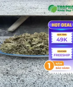 Địa chỉ bán lá bạc hà khô tại TP.HCM Uy Tín, Chất Lượng