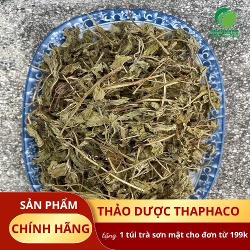 Quy trình sấy khô lá bạc hà chuẩn tại THAPHACO đảm bảo giữ hương vị