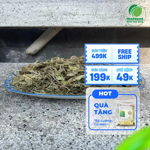 Trà lá bạc hà khô giúp giảm căng thẳng hiệu quả