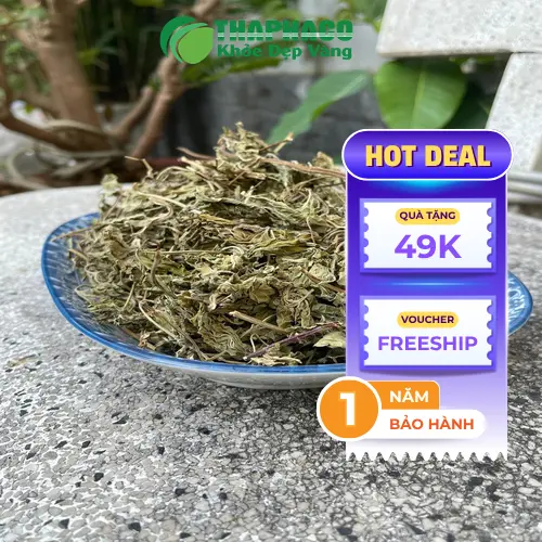 Thành phần dược tính lá bạc hà