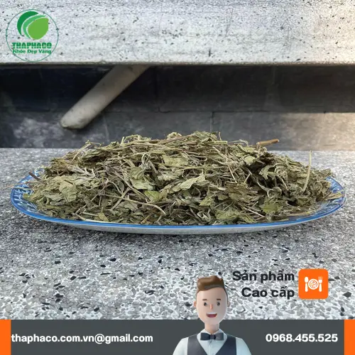 Hình ảnh lá bạc hà khô đã qua kiểm định chất lượng