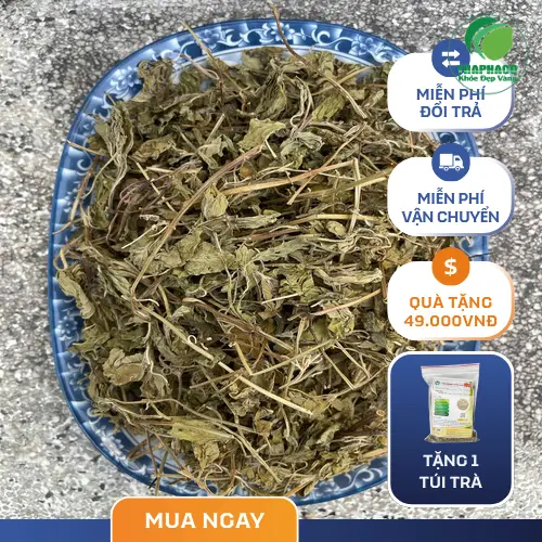 Quy trình sấy khô lá bạc hà chuẩn THAPHACO