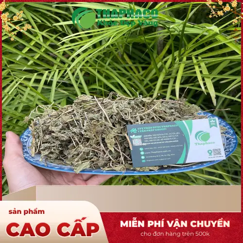 Lá bạc hà tươi được dùng trong nhiều món ăn và đồ uống