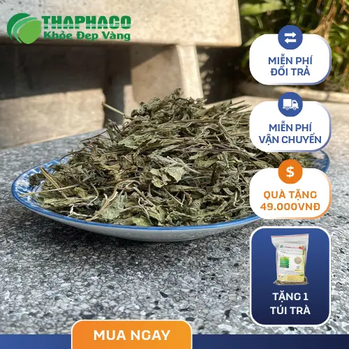 Lá bạc hà khô nguyên chất đóng gói cẩn thận tại THAPHACO