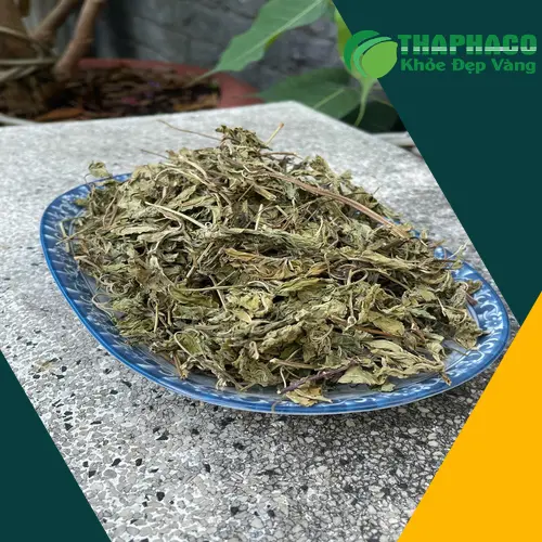 Sản phẩm lá bạc hà khô đóng gói Túi 1kg tại TP.HCM