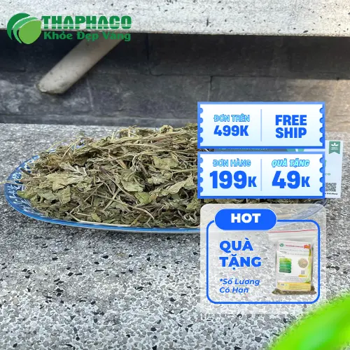 Sản phẩm lá bạc hà chất lượng từ Thảo Dược THAPHACO