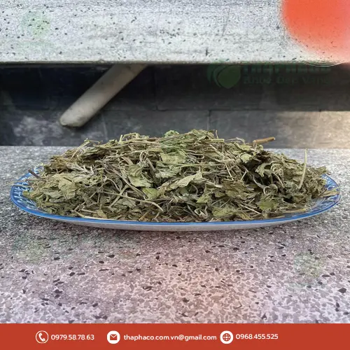 Lá bạc hà khô đa công dụng cho sức khỏe và sắc đẹp