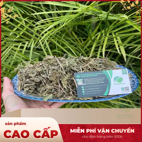 Sản phẩm lá bạc hà khô của THAPHACO đạt chuẩn chất lượng