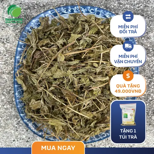 Lá bạc hà khô đóng gói ThaphaCo