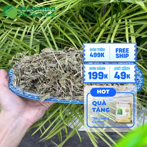 Quy trình đóng gói lá bạc hà khô Thaphaco đảm bảo vệ sinh an toàn