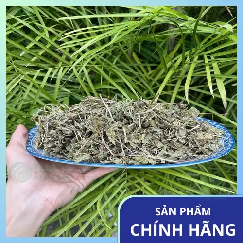 THAPHACO - Địa chỉ bán lá bạc hà khô uy tín
