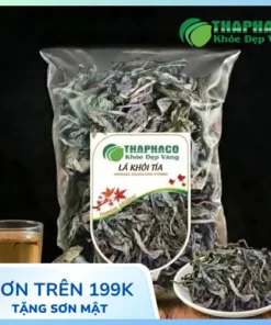 Mua sỉ lá khôi tía ở đâu tại TP.HCM? Nguồn uy tín