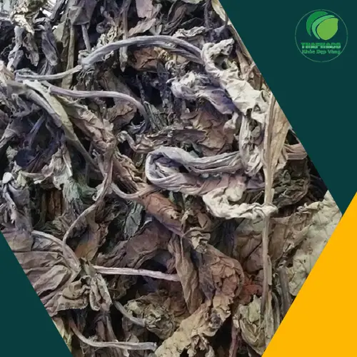 Giấy tờ kiểm nghiệm chất lượng lá khôi tía Thảo Dược THAPHACO
