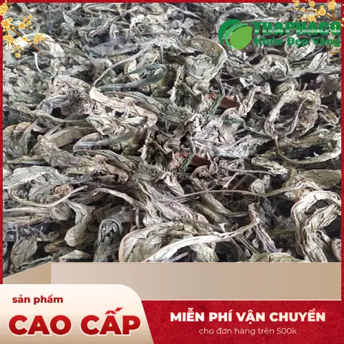 Công dụng lá khôi tía